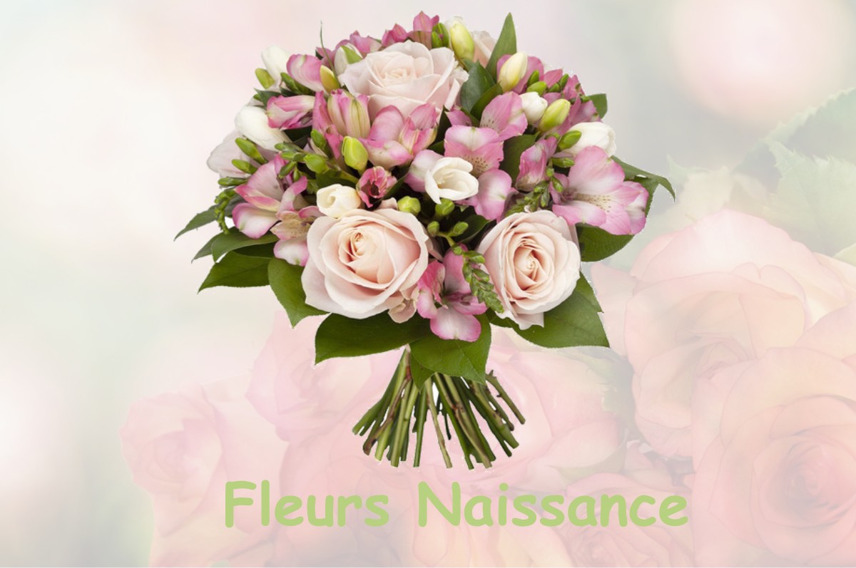 fleurs naissance BOISSY-L-AILLERIE
