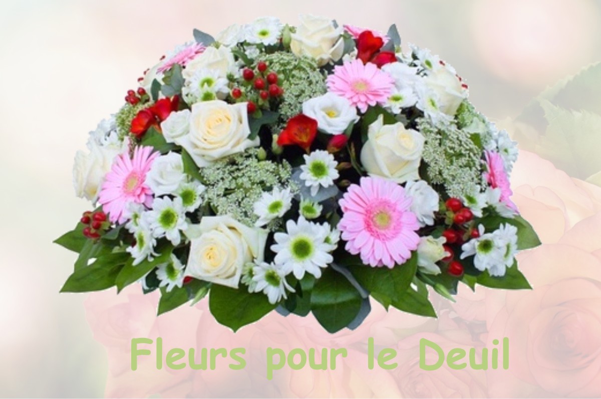 fleurs deuil BOISSY-L-AILLERIE